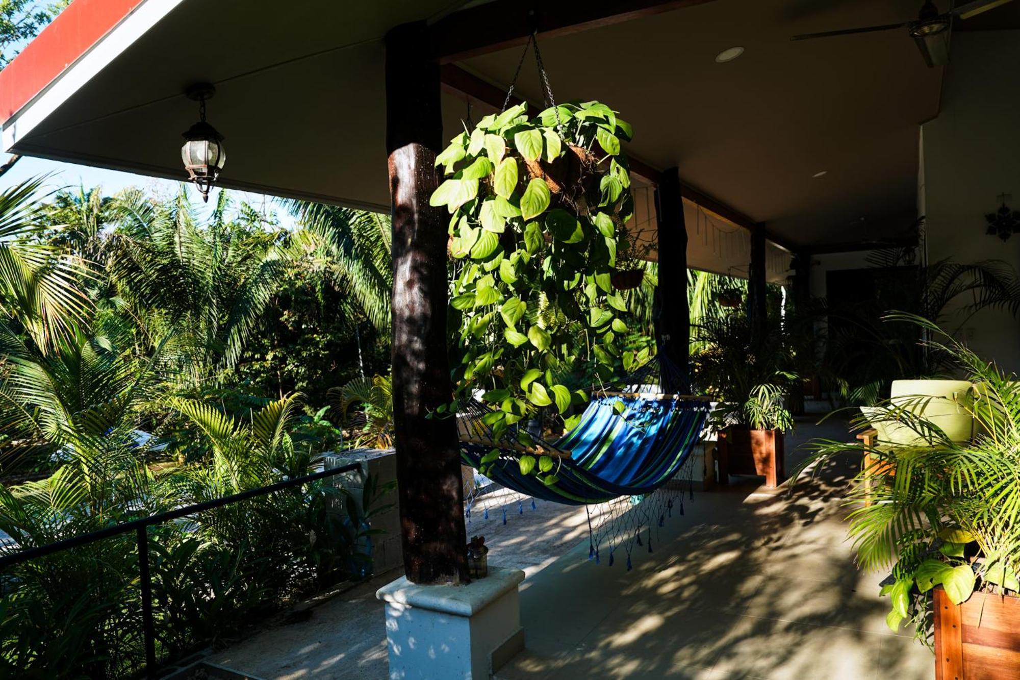 House In The Palm Forest Puerto Carrillo Eksteriør billede