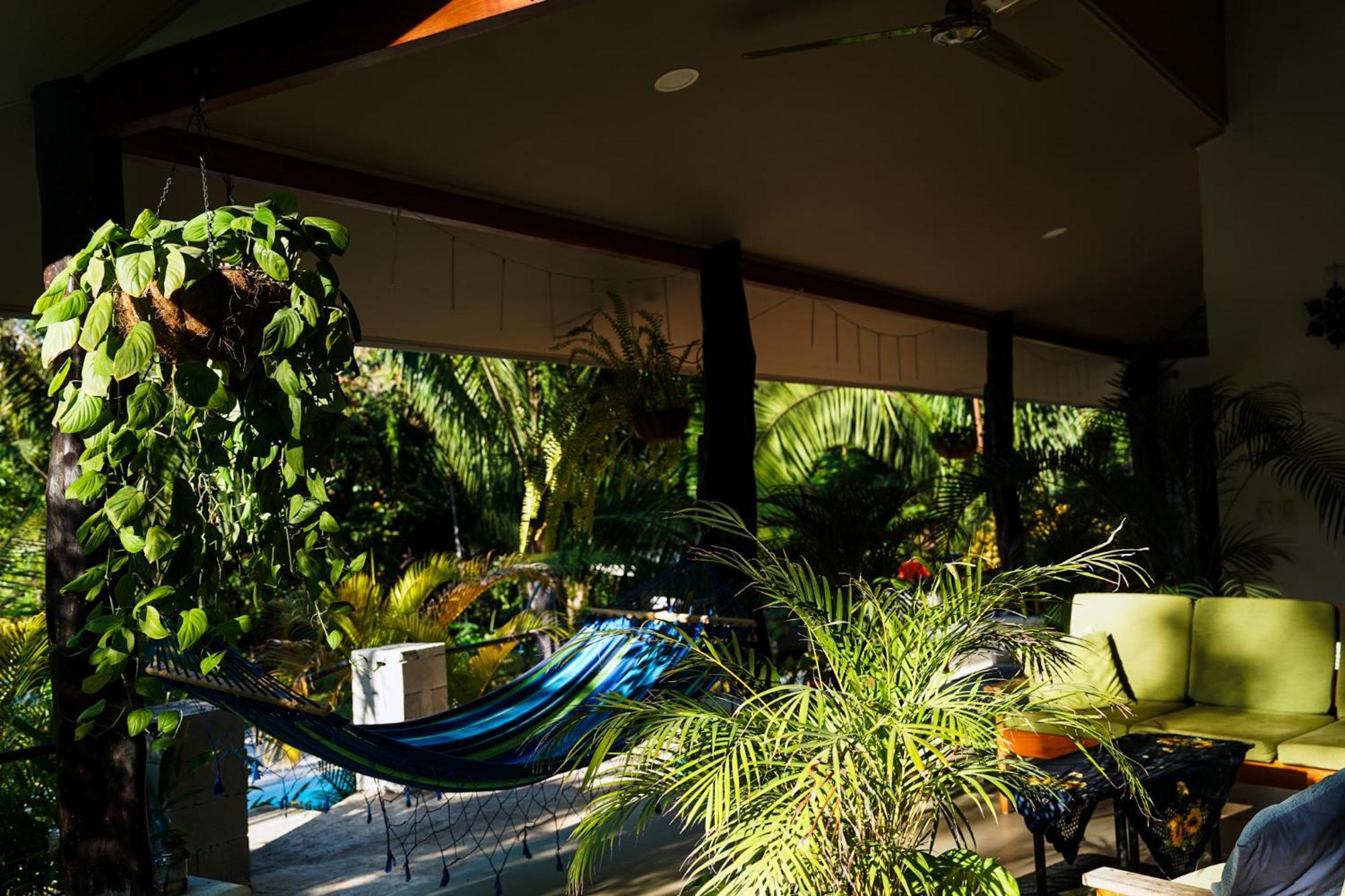 House In The Palm Forest Puerto Carrillo Eksteriør billede
