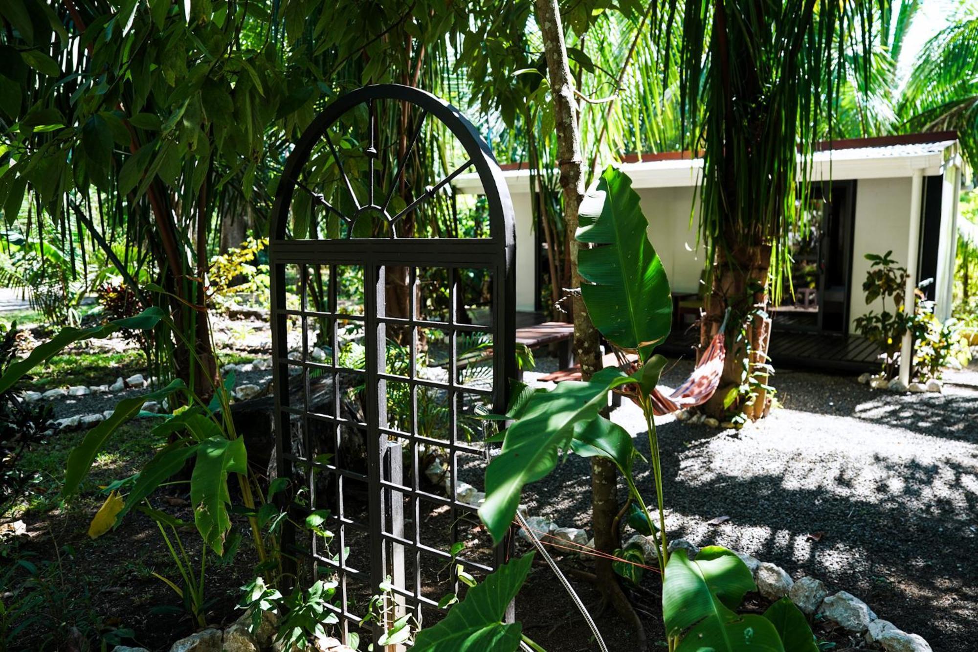 House In The Palm Forest Puerto Carrillo Eksteriør billede