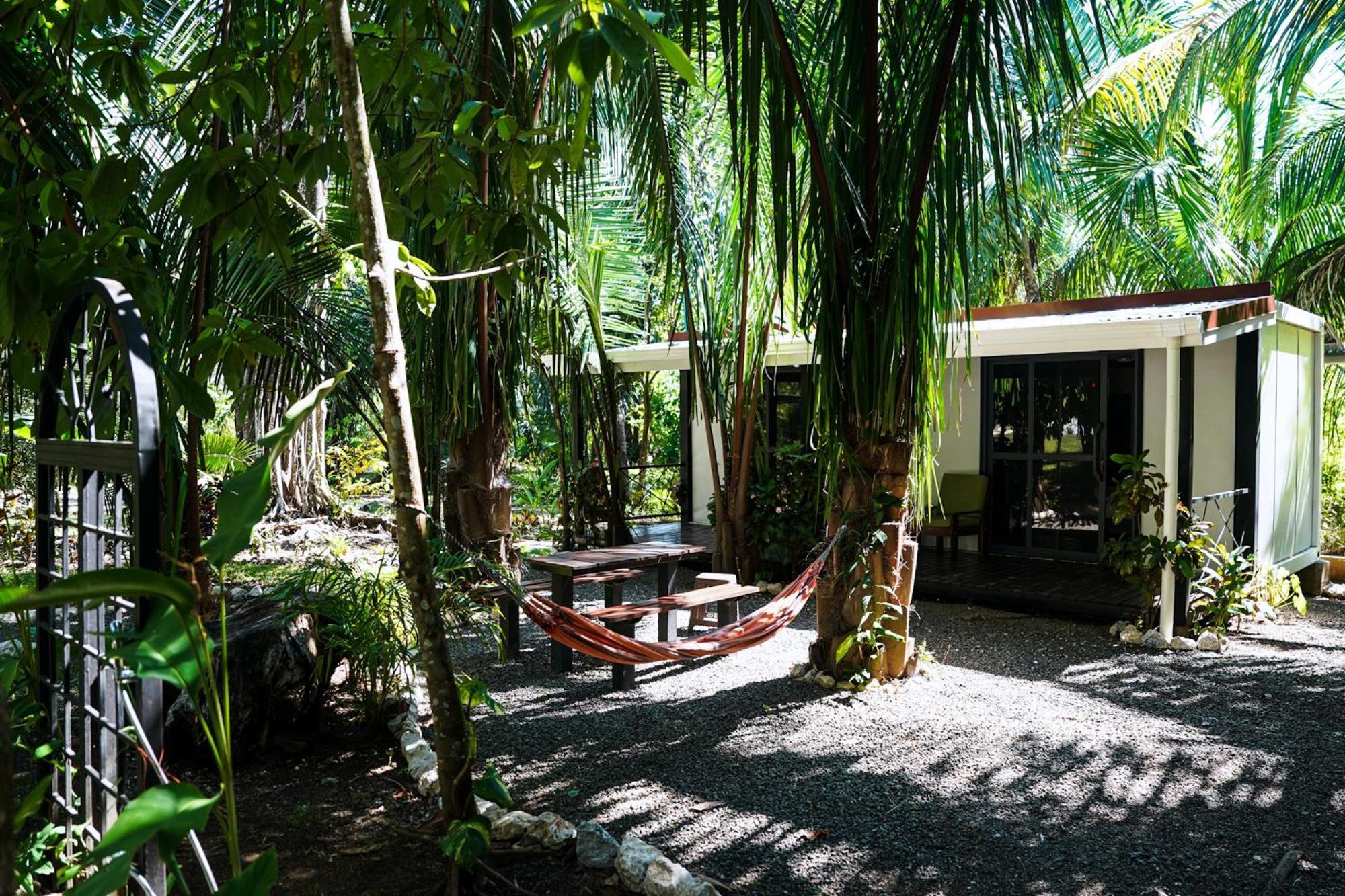 House In The Palm Forest Puerto Carrillo Eksteriør billede