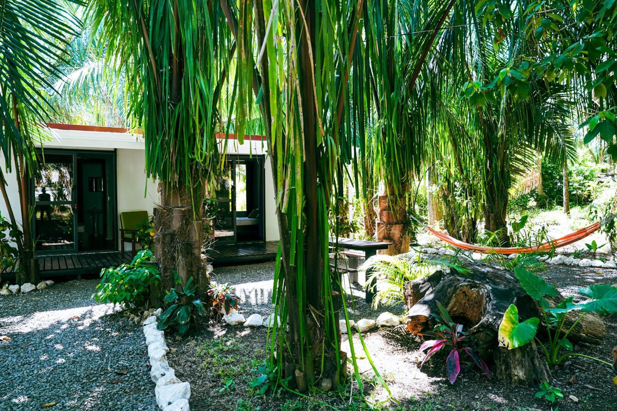 House In The Palm Forest Puerto Carrillo Eksteriør billede