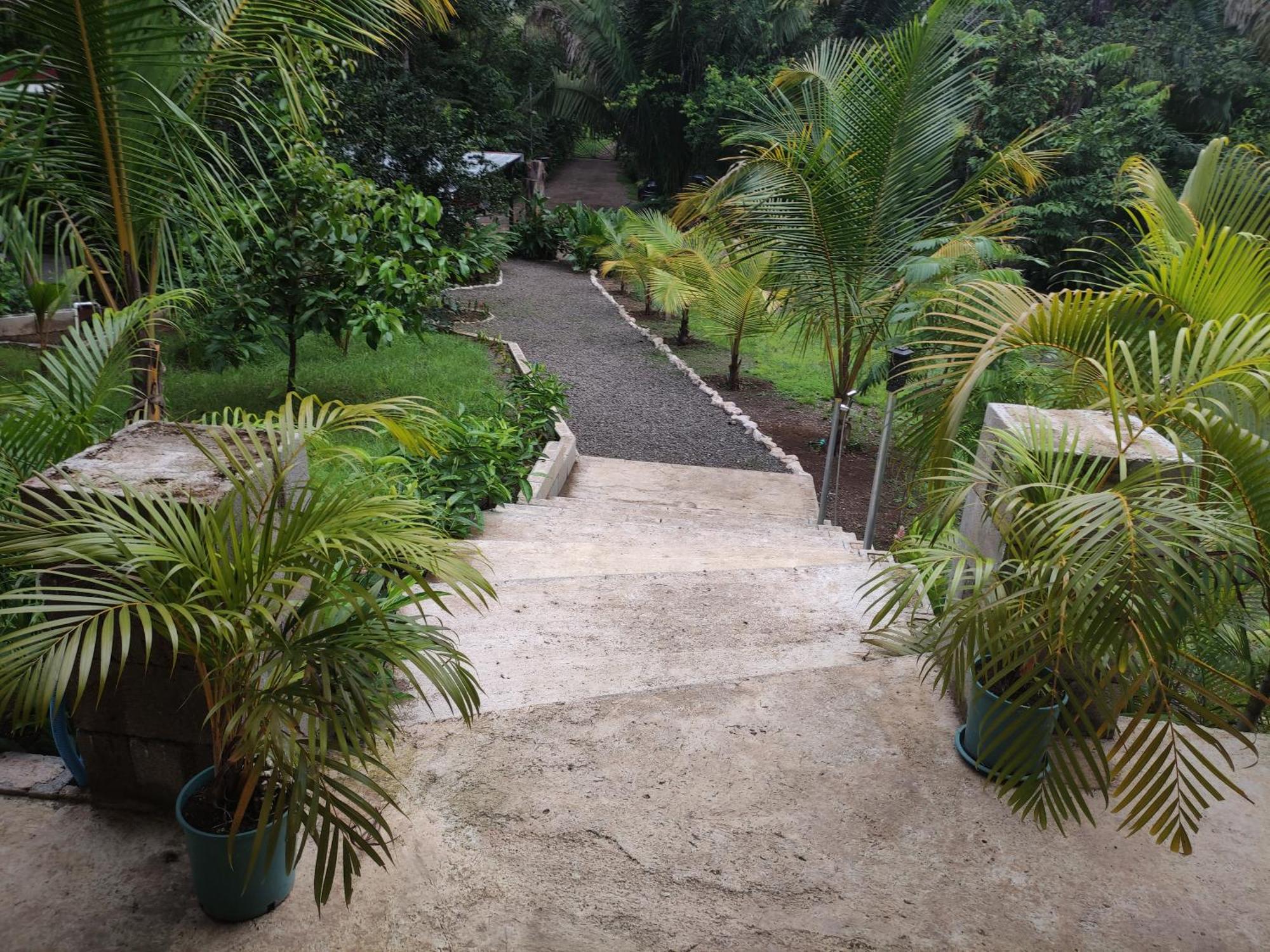 House In The Palm Forest Puerto Carrillo Eksteriør billede